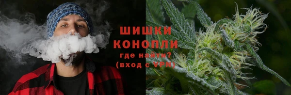 гидра Армянск